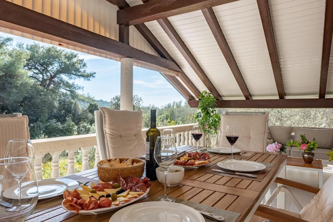 Villa Roko - Luxury Villa 60M From Beach! Zdrelac 0*,  Croatia