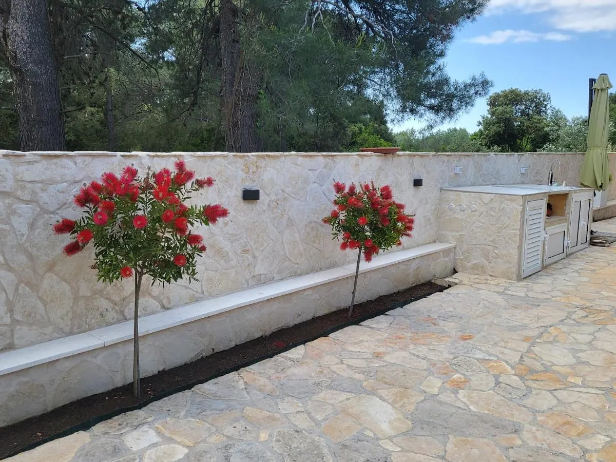 Villa Roko - Luxury Villa 60M From Beach! Zdrelac Croatia